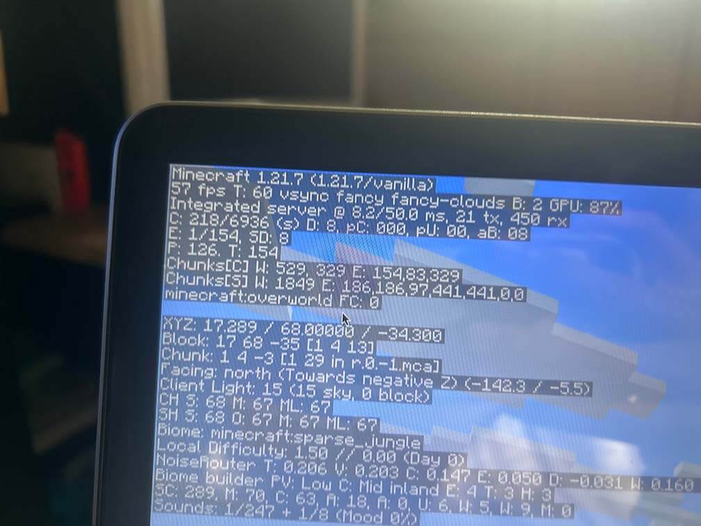 Minecraft F3 Menu
