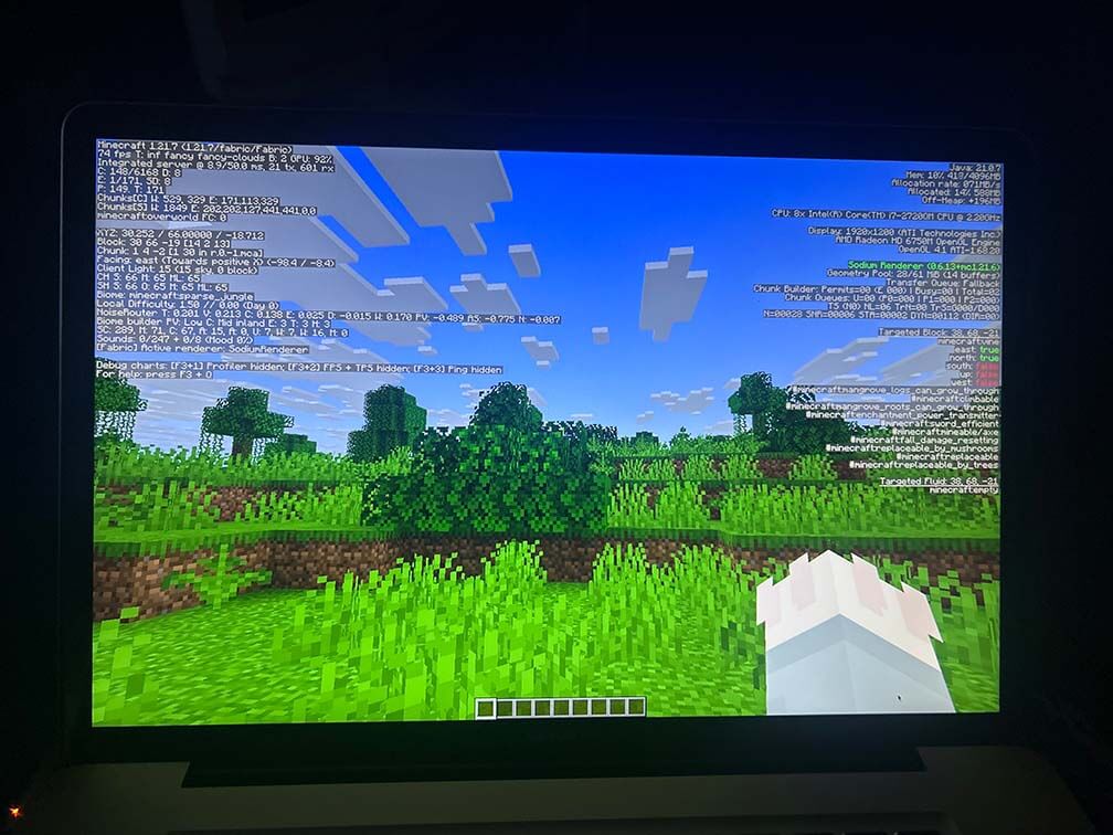 Sodium Minecraft F3