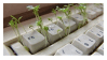 Flower keyboard